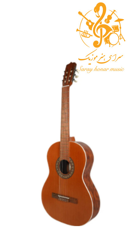 گیتار پارسیD6