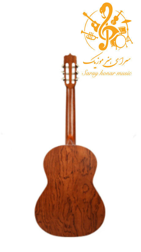 گیتار پارسیD6