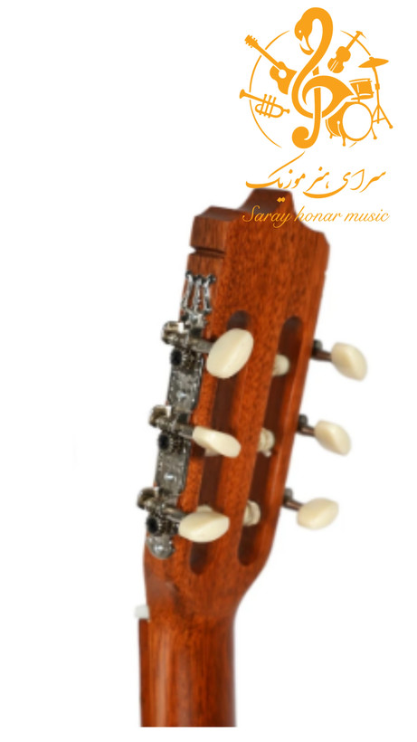 گیتار پارسیD6