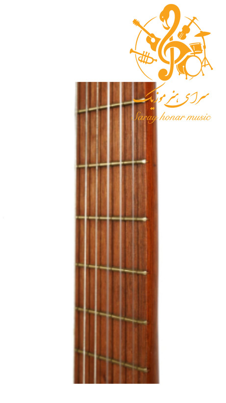 گیتار پارسیD6