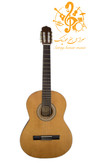 گیتار پارسی M2