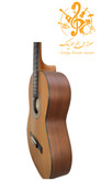گیتار پارسی M2