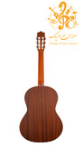 گیتار پارسی P40