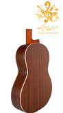 گیتار پارسی P40