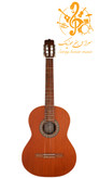 گیتار پارسی P40