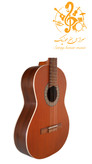 گیتار پارسی P40