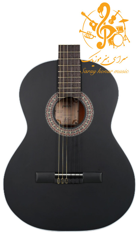 گیتارپارسیM4