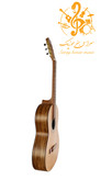 گیتار پارسی P70