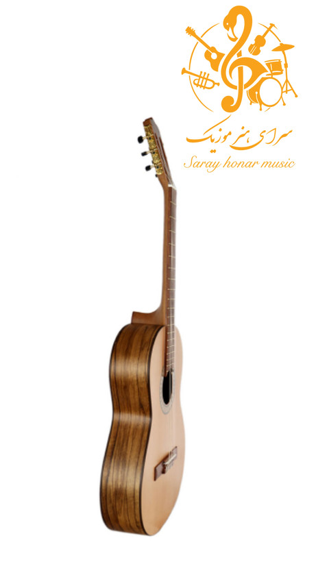 گیتار پارسی P70
