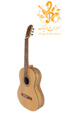 گیتار پارسی P70