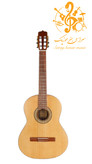 گیتار پارسی P70