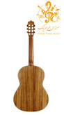 گیتار پارسی P70