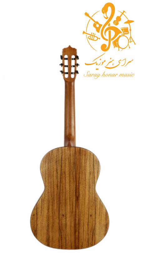 گیتار پارسی P70