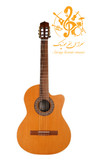 گیتار پارسی M5 کات وی