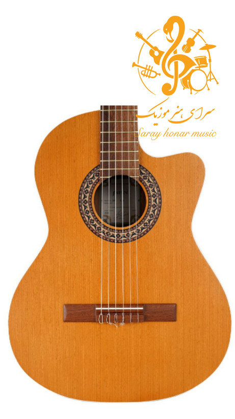 گیتار پارسی M5 کات وی