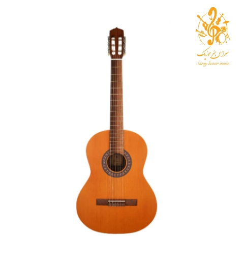 گیتار پارسی M5