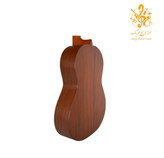 گیتار پارسی M5
