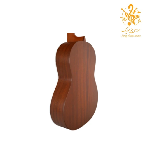 گیتار پارسی M5