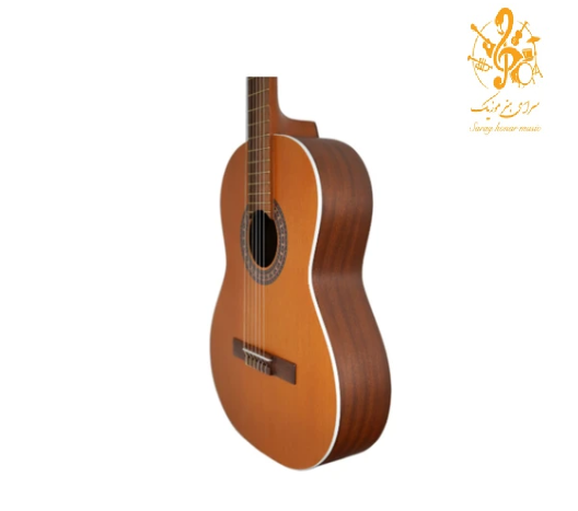 گیتار پارسی M5